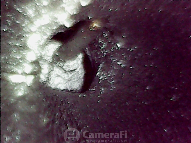 Dióhéjas szívósor- és szeleptisztítás – kép 2