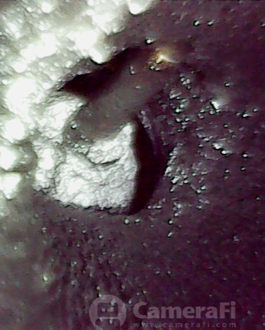 Dióhéjas szívósor- és szeleptisztítás – kép 5