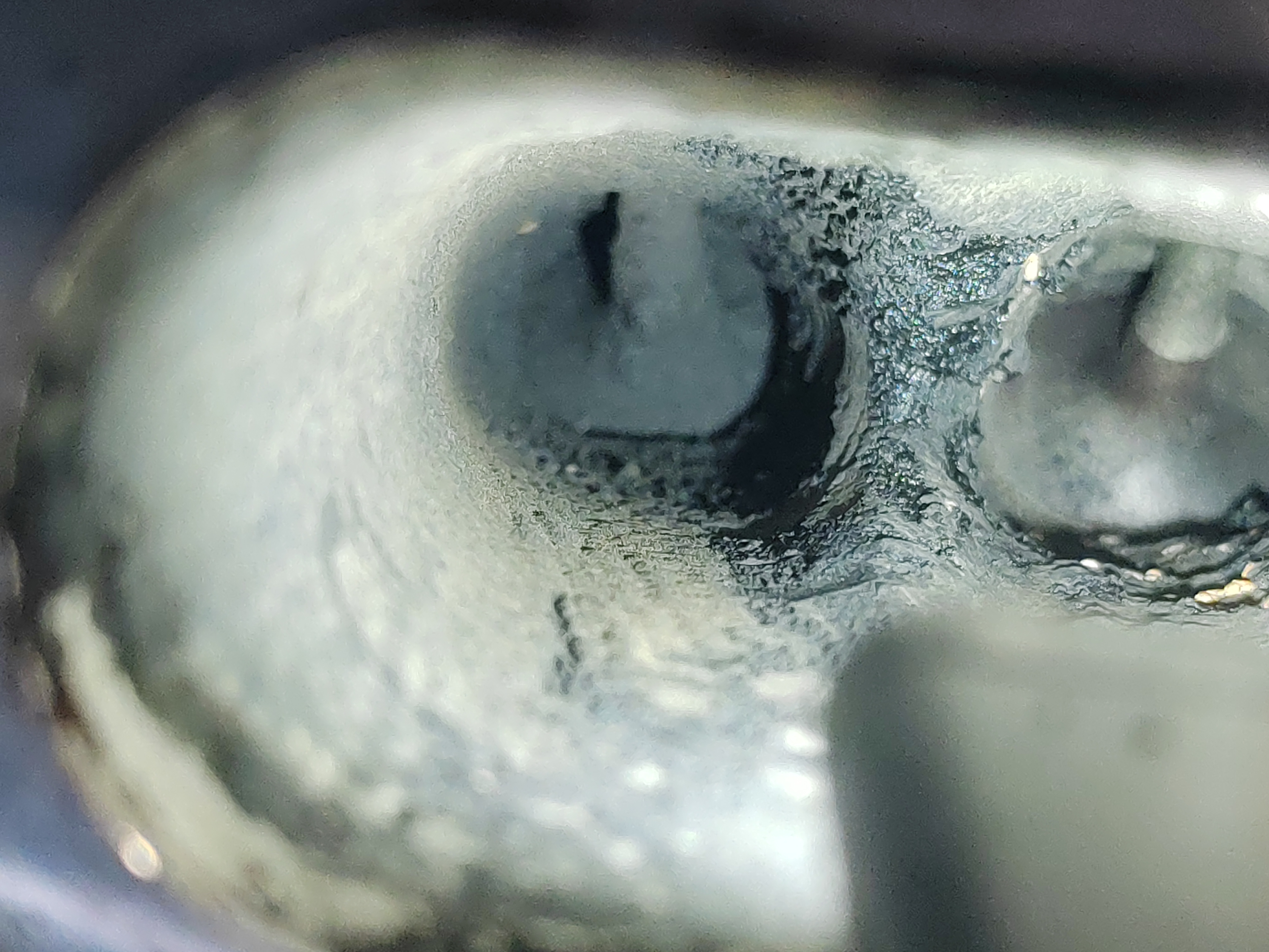 Dióhéjas szívósor- és szeleptisztítás – kép 9